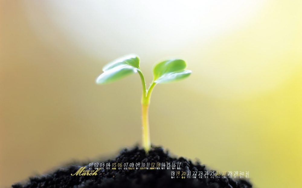 2016年3月小清新植物护眼日历桌面壁纸4下载