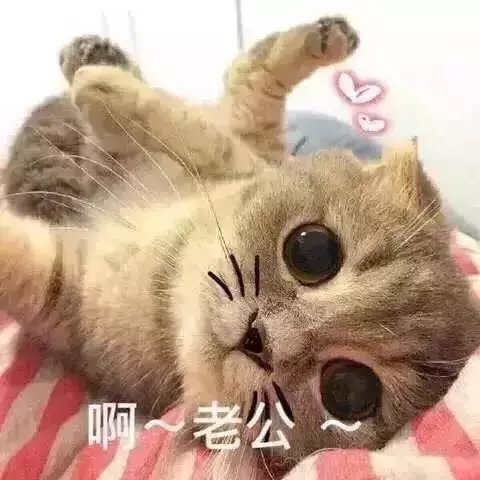 阿忧：给我来一个这种男朋友.