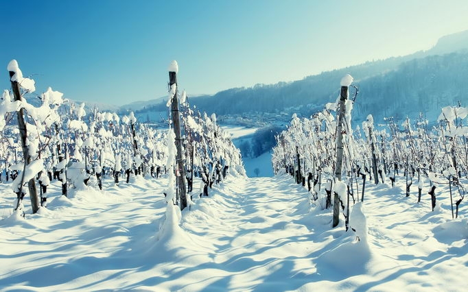 大自然完美高清雪景壁纸