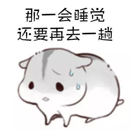 睡觉前必须上个厕所，必要的时候上两个