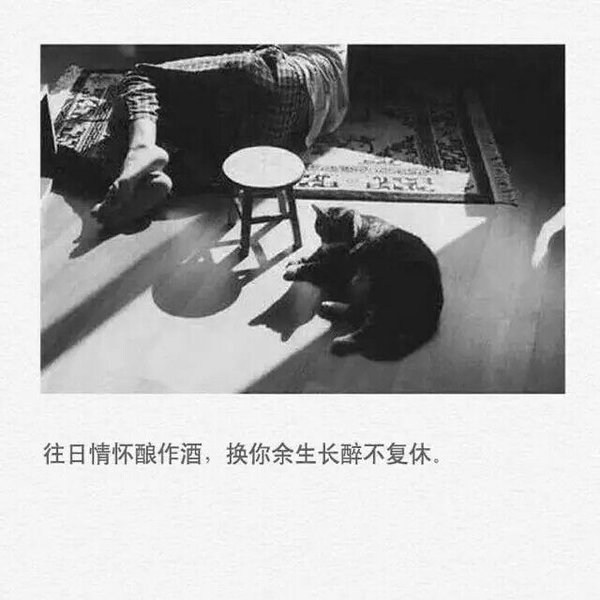 失去你的我 比乞丐还落魄