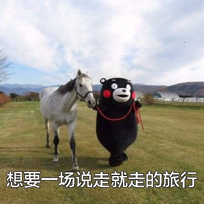 我的日常~~
