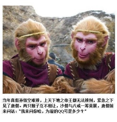 雷人的真相 看完会吐血
