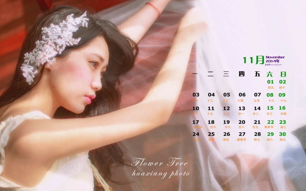 2014年11月日历桌面壁纸精选性感美女唯美写真图片