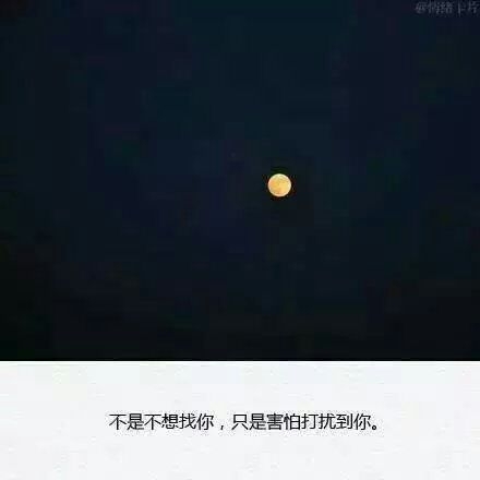 说书人: 爱你的人会想尽一切办法来找你