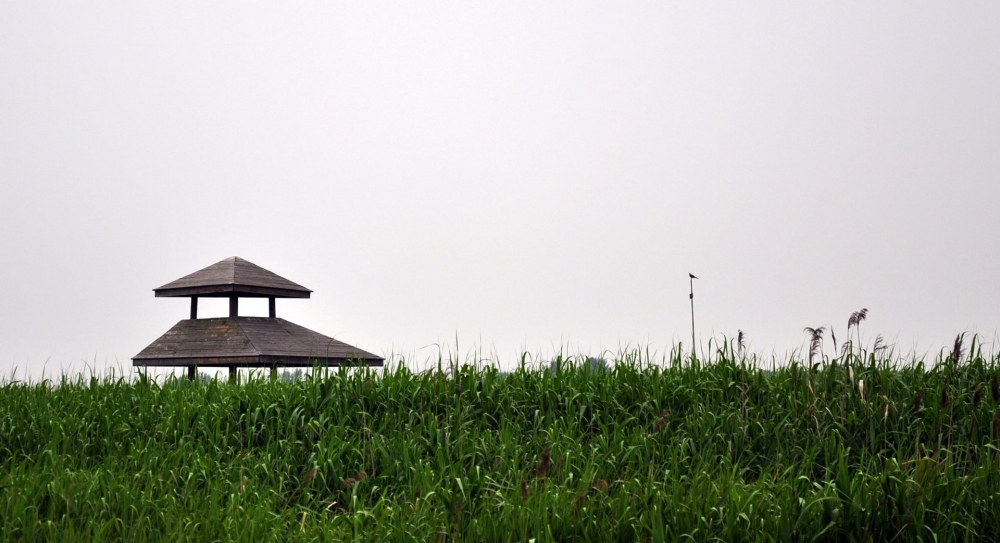 上海崇明风光高清风景壁纸
