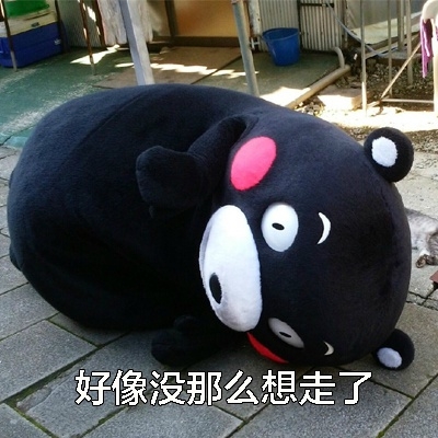 我的日常~~