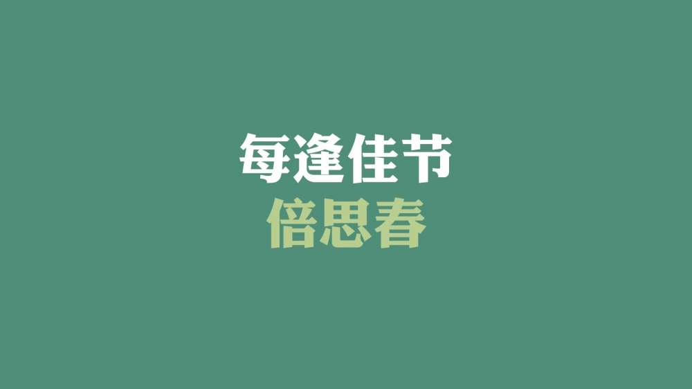 光棍节简约名言格言壁纸