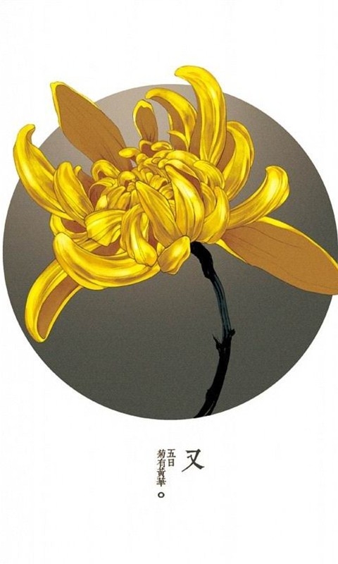 好看的节气物候创意手机壁纸