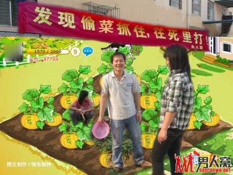 疯狂的偷菜人生，爆笑【组图】