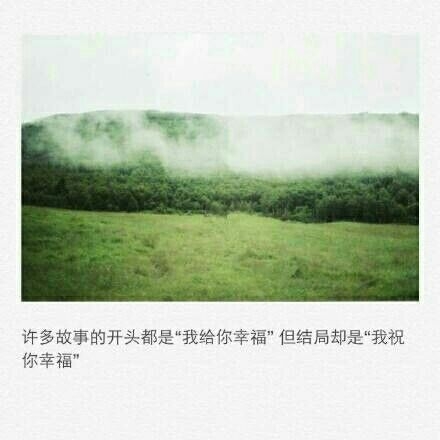 不要踮着脚尖 去爱上一个人