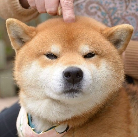 超级可爱的你