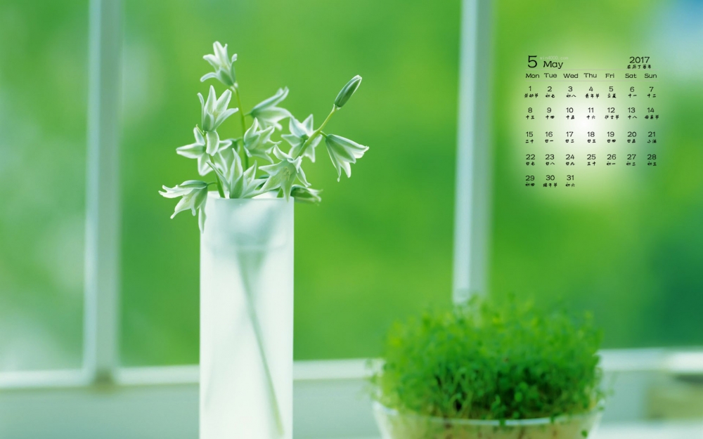 2017年5月绿色护眼风景日历壁纸