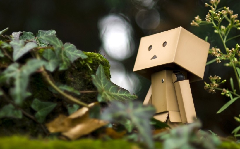 纸箱人阿楞Danboard桌面壁纸