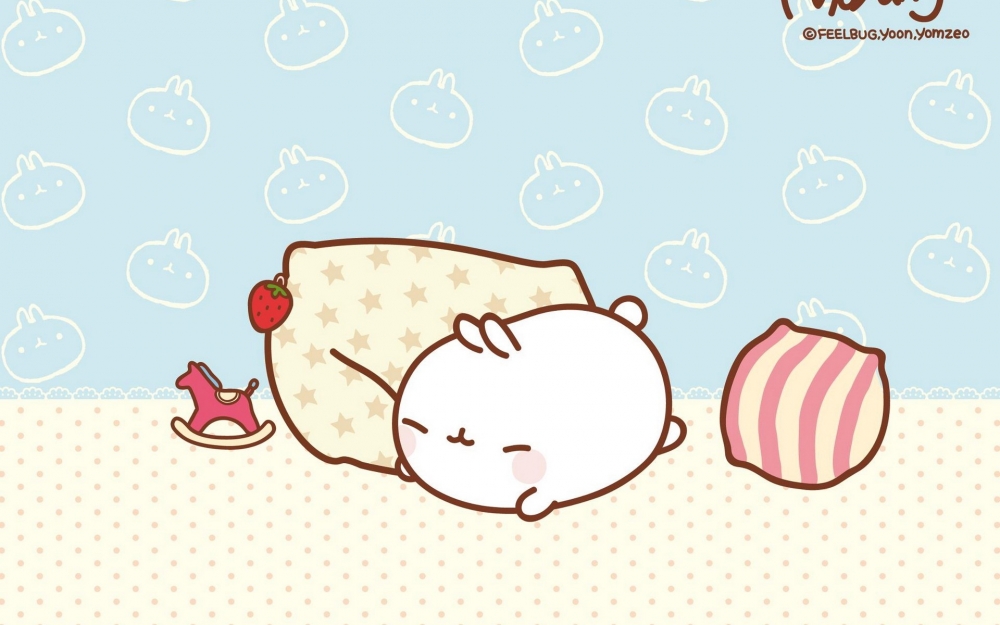 MOLANG 韩国远道而来的可爱的兔子