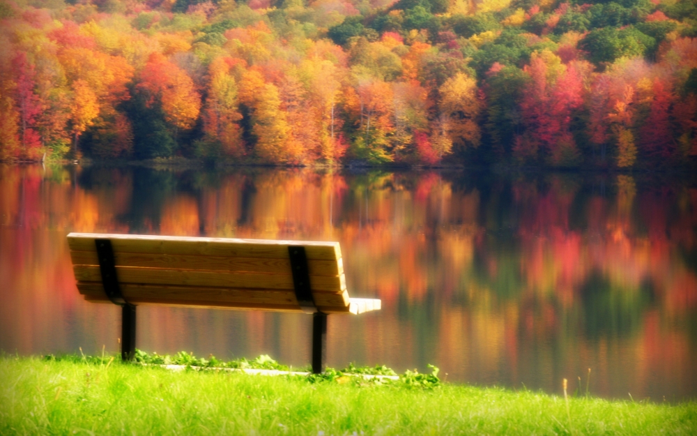 美丽的秋天迷人落叶天空风景图片桌面壁纸高清