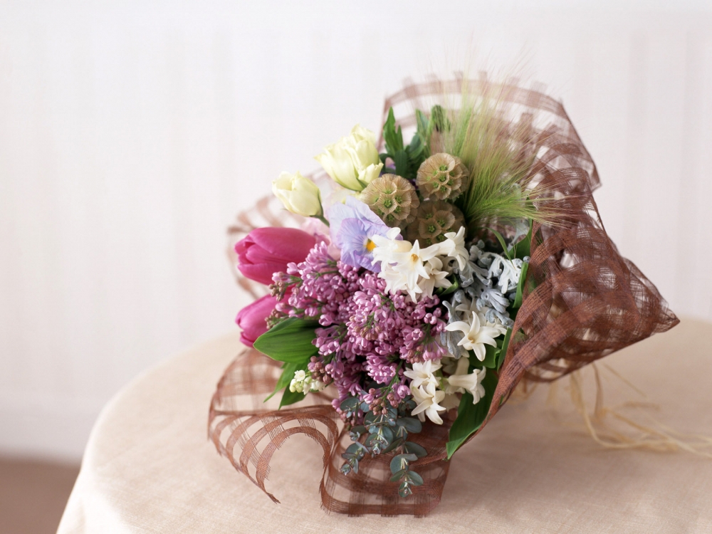 室内花 第六辑