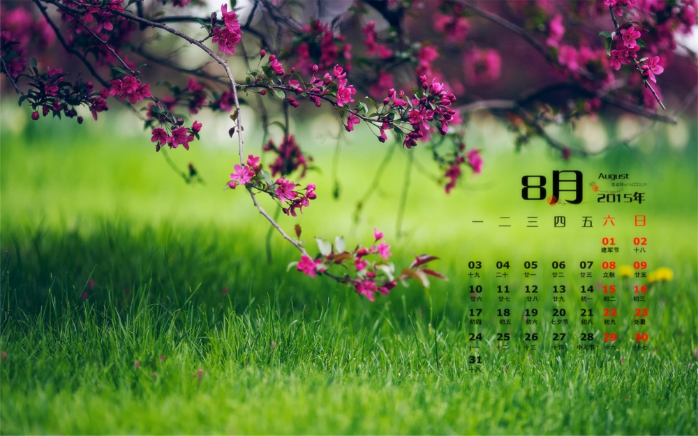 2015年8月日历壁纸精选绿色护眼高清摄影图片下载