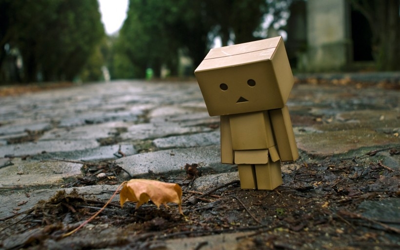 纸箱人阿楞Danboard桌面壁纸