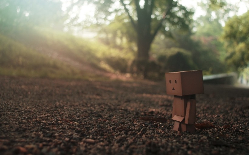 纸箱人阿楞Danboard桌面壁纸