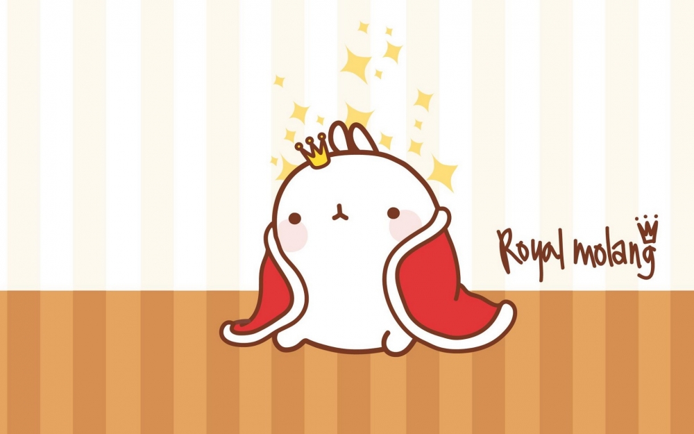 MOLANG 韩国远道而来的可爱的兔子