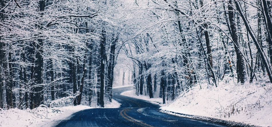 冬季,雪天,道路,树木,自然,森林,风景桌面壁纸