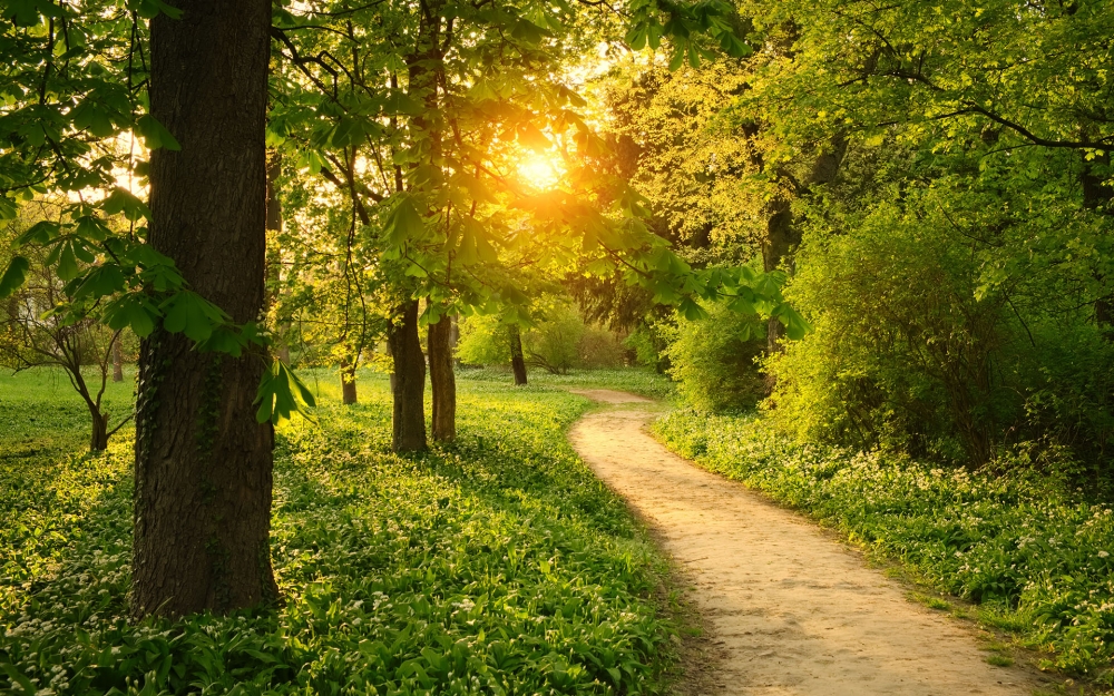 路上的清新壮观的自然风景日历壁纸