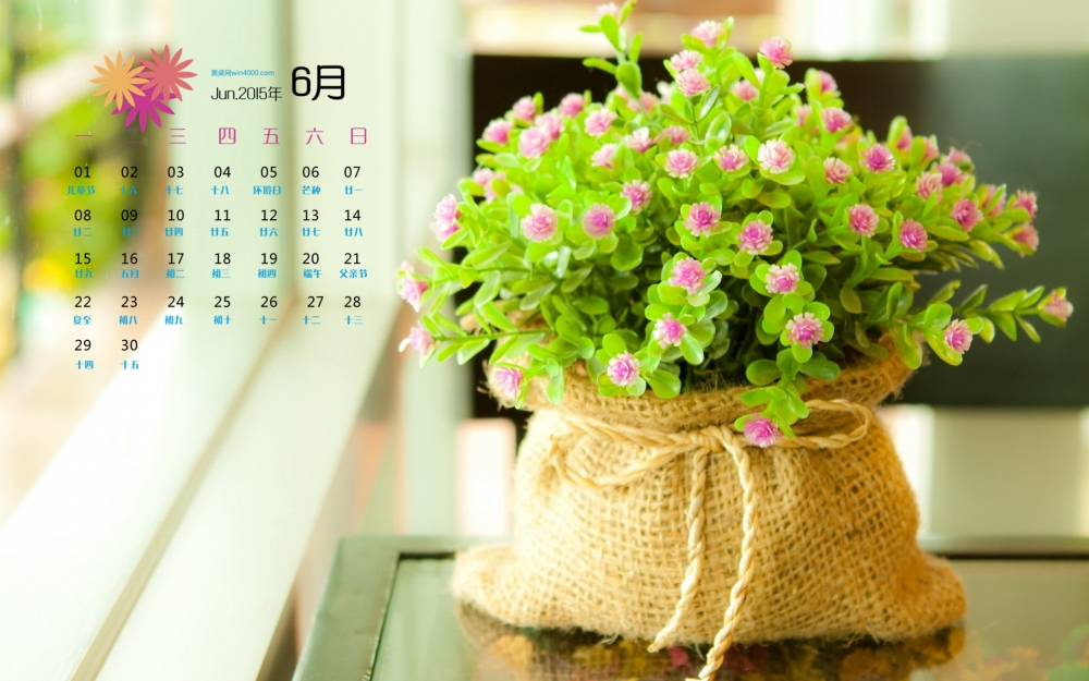 2015年6月日历精选绿色植物盆栽花卉高清桌面壁纸下载