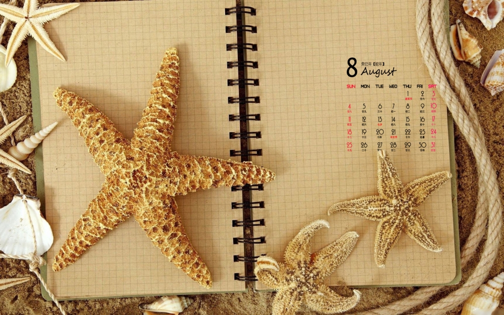 2013年静物唯美8月日历唯美桌面壁纸