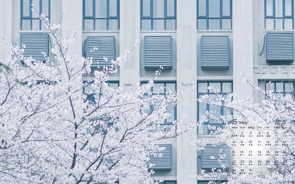 2017年5月樱花风景日历壁纸