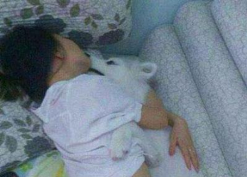 搞笑活的不如狗图片