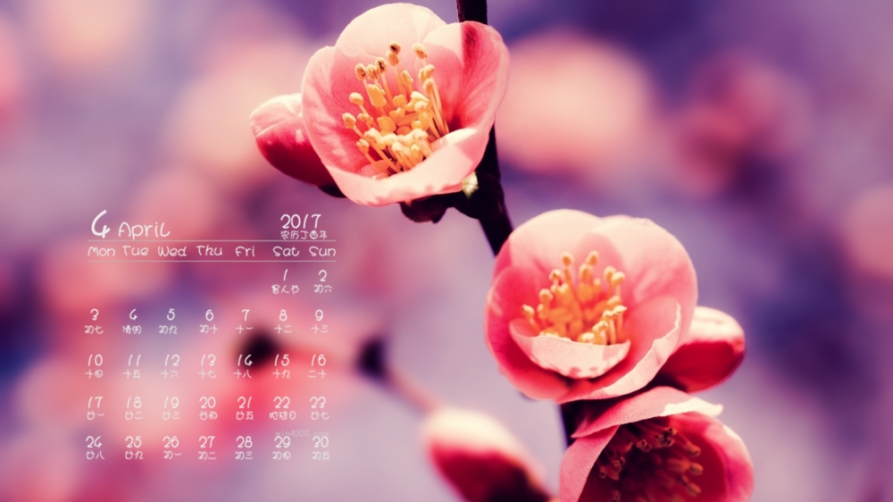 2017年4月唯美的花卉桌面日历壁纸