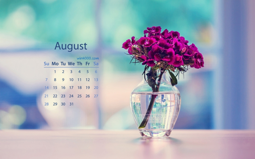 2016年8月日历小清新的文艺花瓶电脑桌面壁纸下载