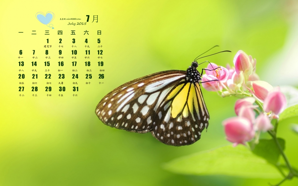2015年7月日历精选清新护眼可爱蝴蝶桌面壁纸下载
