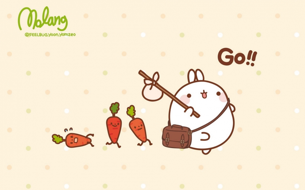MOLANG 韩国远道而来的可爱的兔子