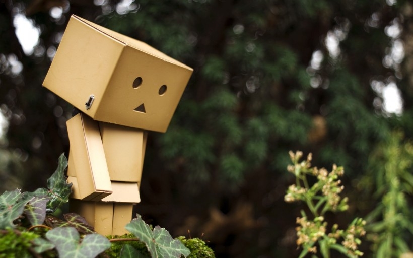 纸箱人阿楞Danboard桌面壁纸
