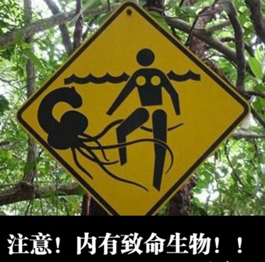 女士严禁下水！