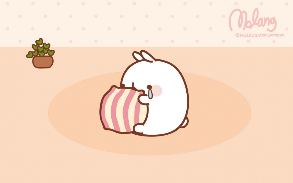 MOLANG 韩国远道而来的可爱的兔子