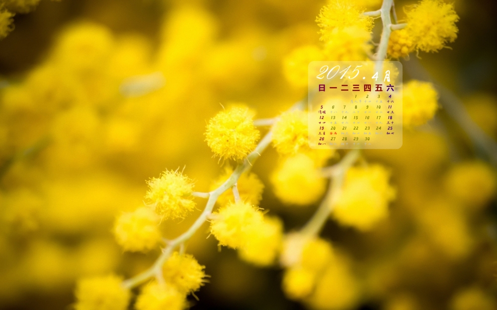 2015年4月小清新花卉日历壁纸