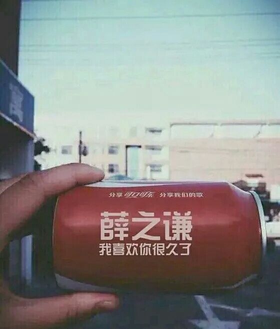 送给薛之谦的小仙女们