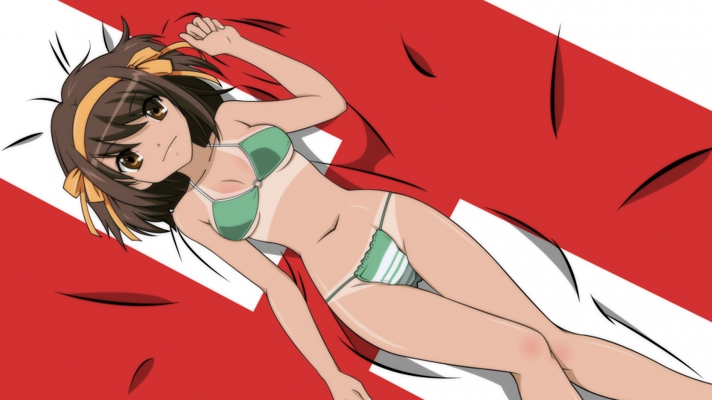 动漫少女凉宫春日高清壁纸