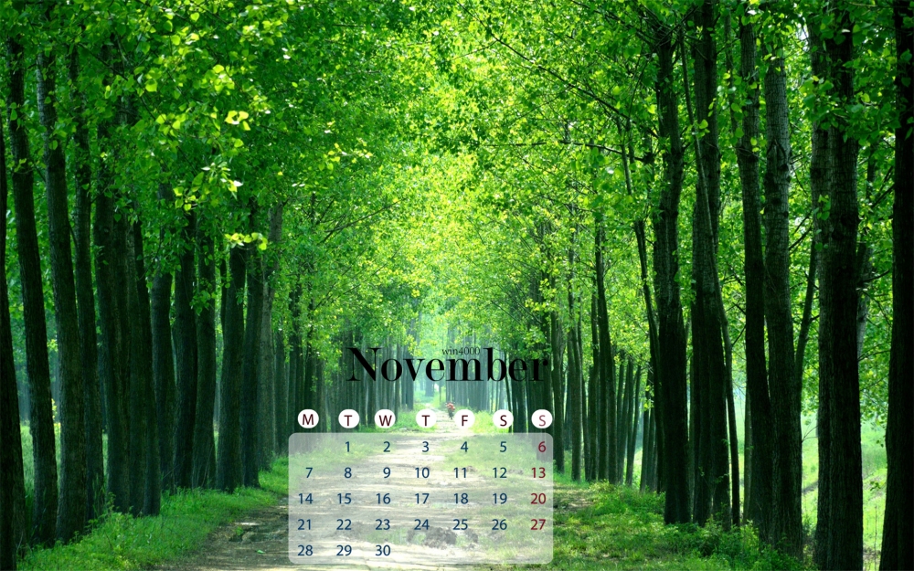 2016年11月日历清新绿叶自然风景壁纸图片下载