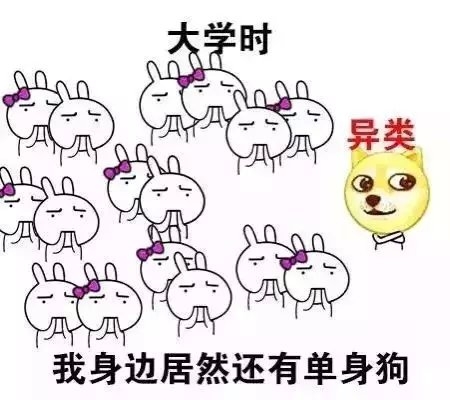 心疼最后一张