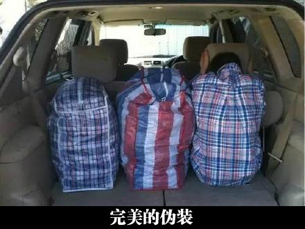 放在一起我都没发现还有一个程序员