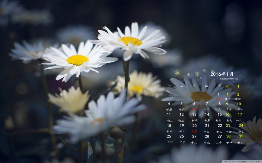 2016年1月日历韵味花朵桌面壁纸下载