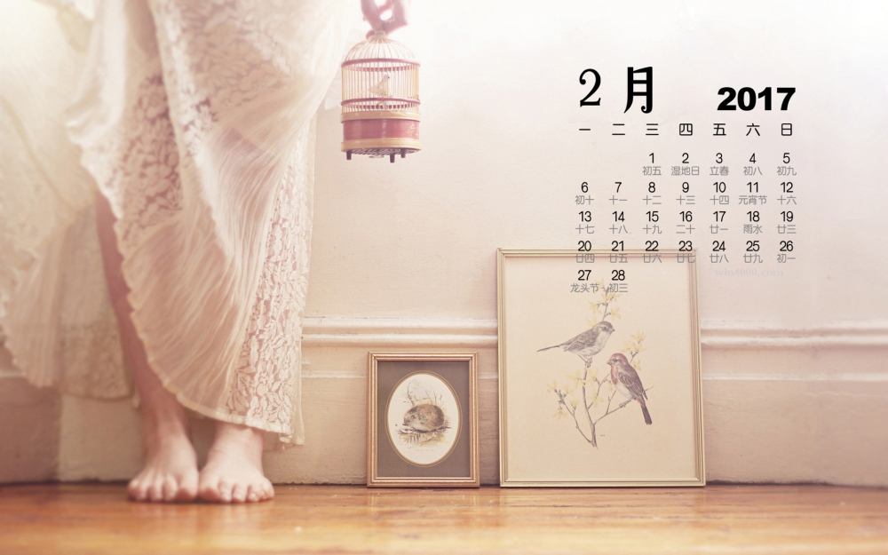 2017年2月简约静物唯美桌面日历壁纸