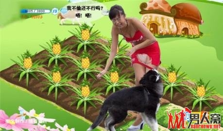 疯狂的偷菜人生，爆笑【组图】