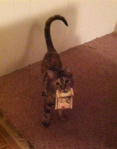 传说中的招财猫吧