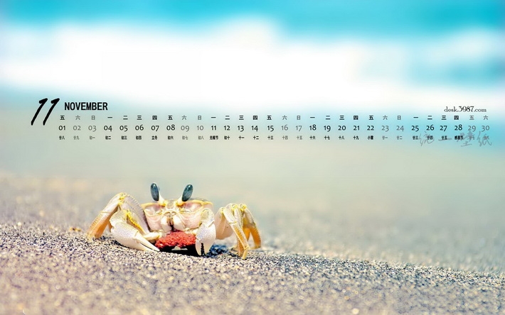 2013年11月月历桌面壁纸