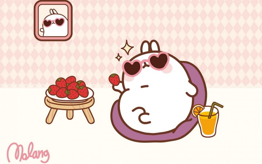 MOLANG 韩国远道而来的可爱的兔子